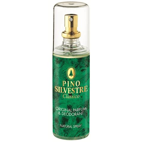 pino silvestre fragrantica|pino silvestre classico.